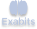 Custom Data Exchanges